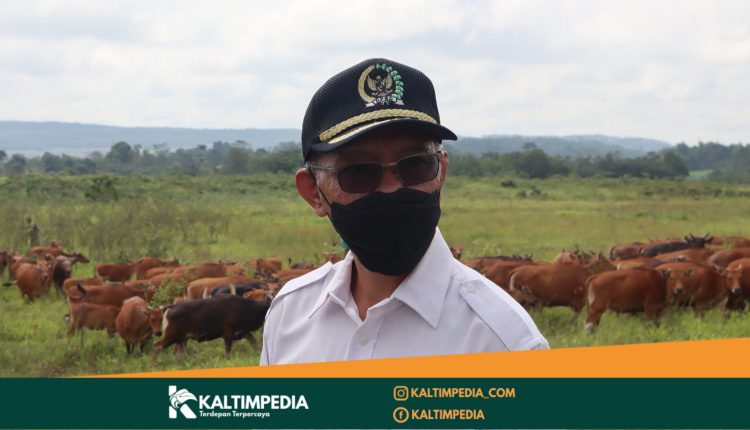 Desa Mulawarman Berseri: Kekompakan Rukun Tetangga, Kunci Keberhasilan