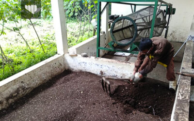 Kreativitas dari Kotoran: Inovasi Desa Mulawarman Sulap Limbah Ternak Jadi Produk Berharga