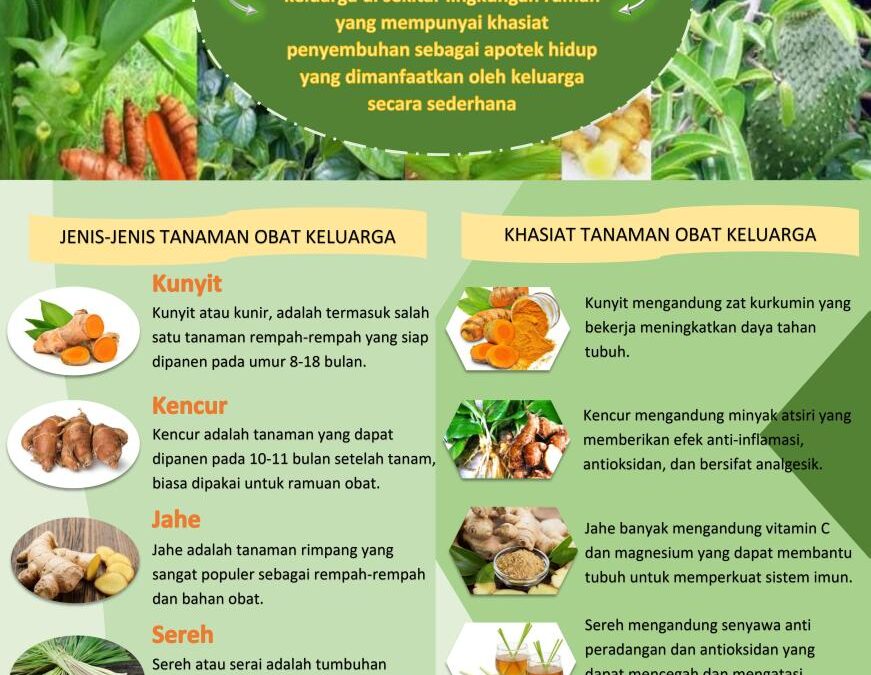 Pencegahan dengan Lidah Buaya: Desa Mulawarman Ajarkan Manfaat Tanaman Obat untuk Kulit