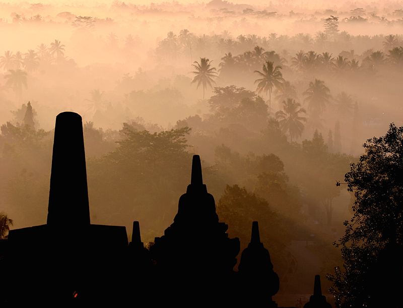 Menggali Sejarah Desa Mulawarman dan Perkembangan Kelembagaan Desanya
