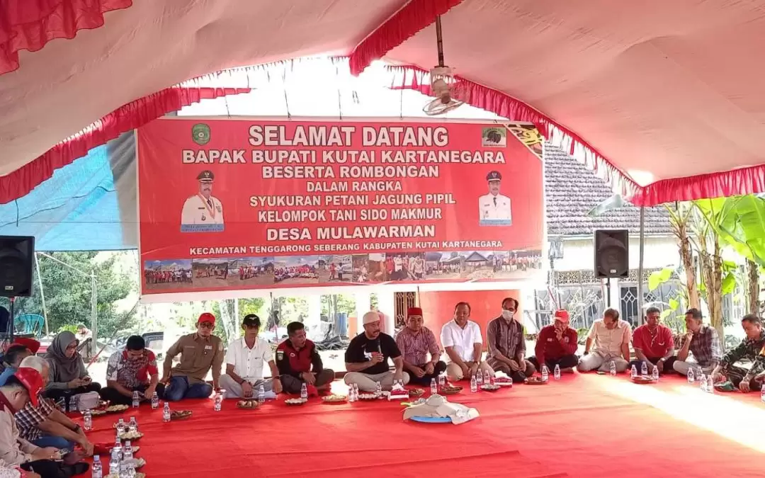Bupati Kutai Kartanegara Beserta Rombongan Hadiri Syukuran Petani Jagung Pipil Kelompok Tani Sido Makmur Desa Mulawarman